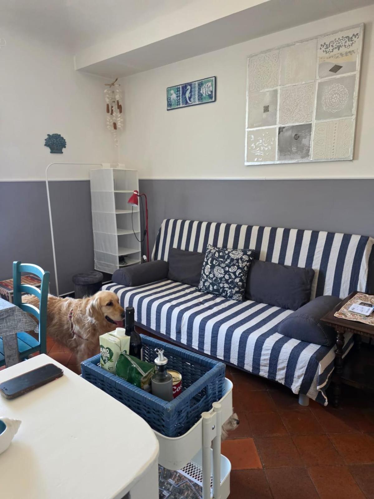 The Shell - New Interior Look But Same Old Charme 200Mt From The Sea With Garden And Parking Nearby Apartman Imperia Kültér fotó